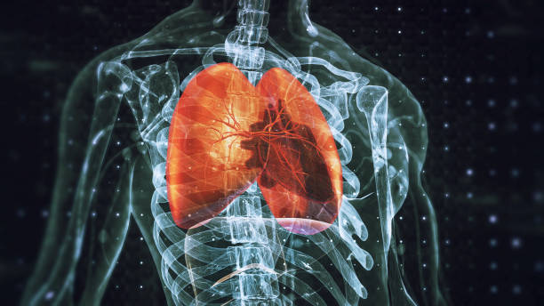 هل  الأحوال الخماسينية تؤثر على صحة الجهاز التنفسي؟